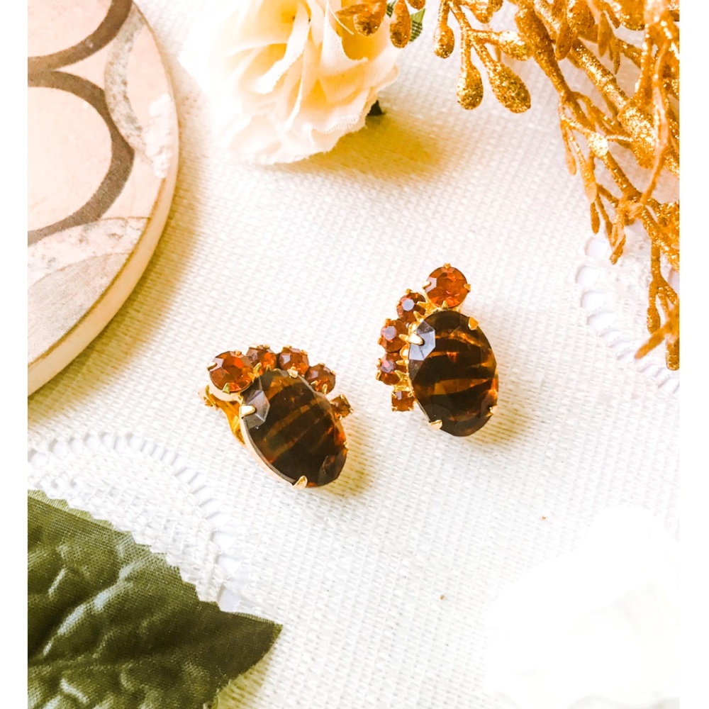 Brown Vintage Clip On Earrings